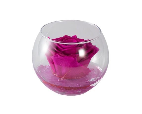 Boccia Rosa Cherie Profumate Con Gocce E Packaging Fucsia D6cm In Vetro