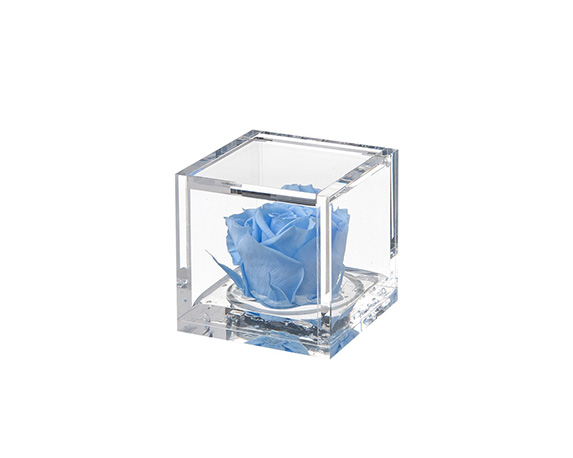 Flowercube Small Rosa Azzurra