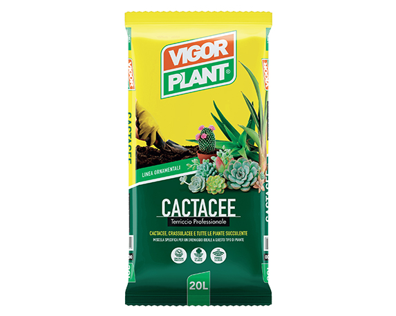 Terriccio Cactacee 20lt – Vigorplant