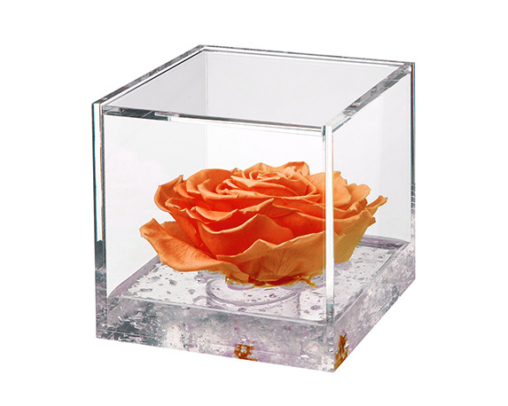 Flowercube extra large rosa arancio - FloralGarden