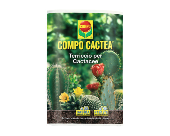 Terriccio Cactacee 5lt – Compo