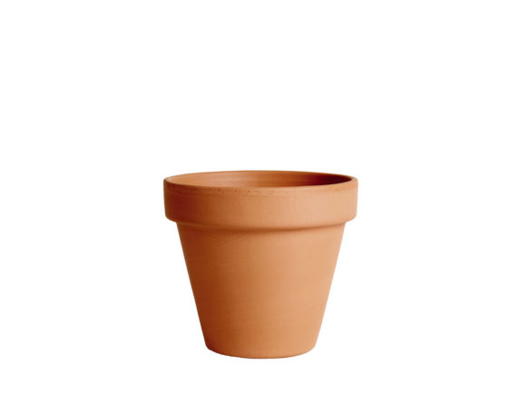 vaso terracotta classica standard 17cm corino bruna degrea vasi e coprivaso giardinaggio