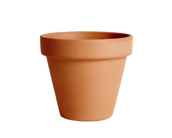 Vaso Standard D19cm In Terracotta