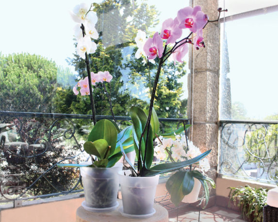 Guanti rosa in cotone ed ecopelle da giardino - FloralGarden