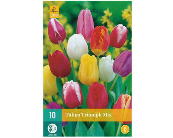 Tulipano Trionfo Mix