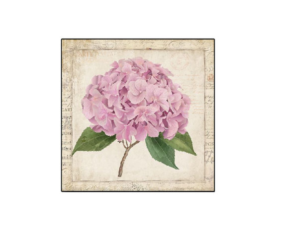 Quadro Hydrangea Assortiti In Legno