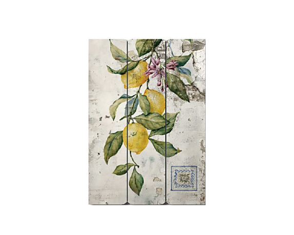 Quadro Limoni Legno Assortiti