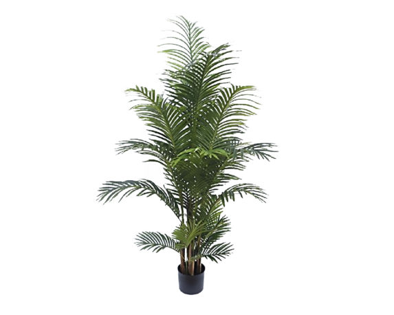 Areca Artificiale In Vaso H170