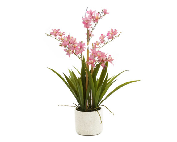 Orchidea Cymbidium Beauty Artificiale Con Vaso 58h In Plastica