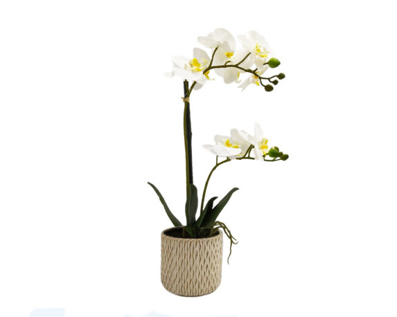 Orchidea Phalaenopsis Artificiale Bianco In Vaso Scanalato H56