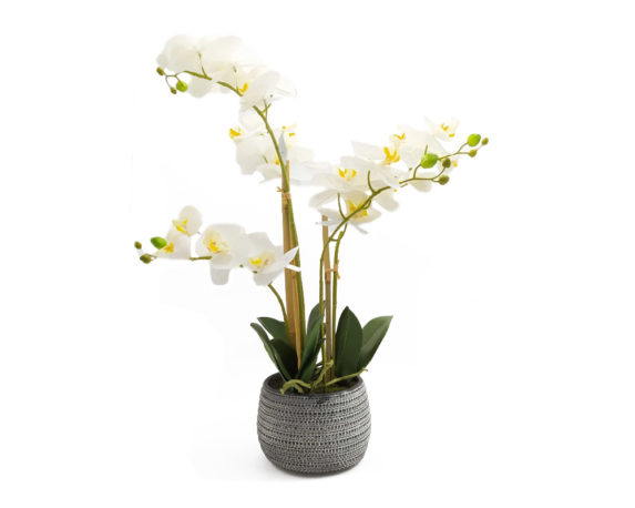 Orchidea Phalaenopsis Artificiale Bianco In Vaso Grigio H58