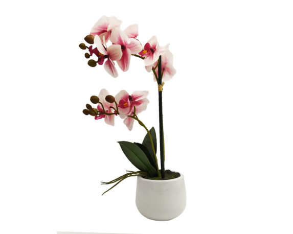 Orchidea Phalaenopsis Artificiale Rosa In Vaso H35