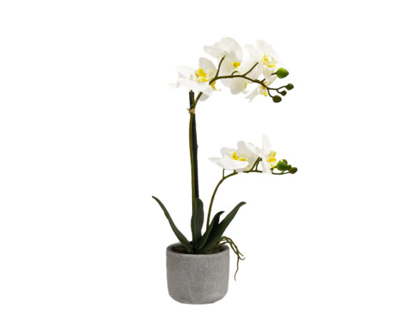 Orchidea Phalaenopsis Artificiale Bianco In Vaso Grigo H60