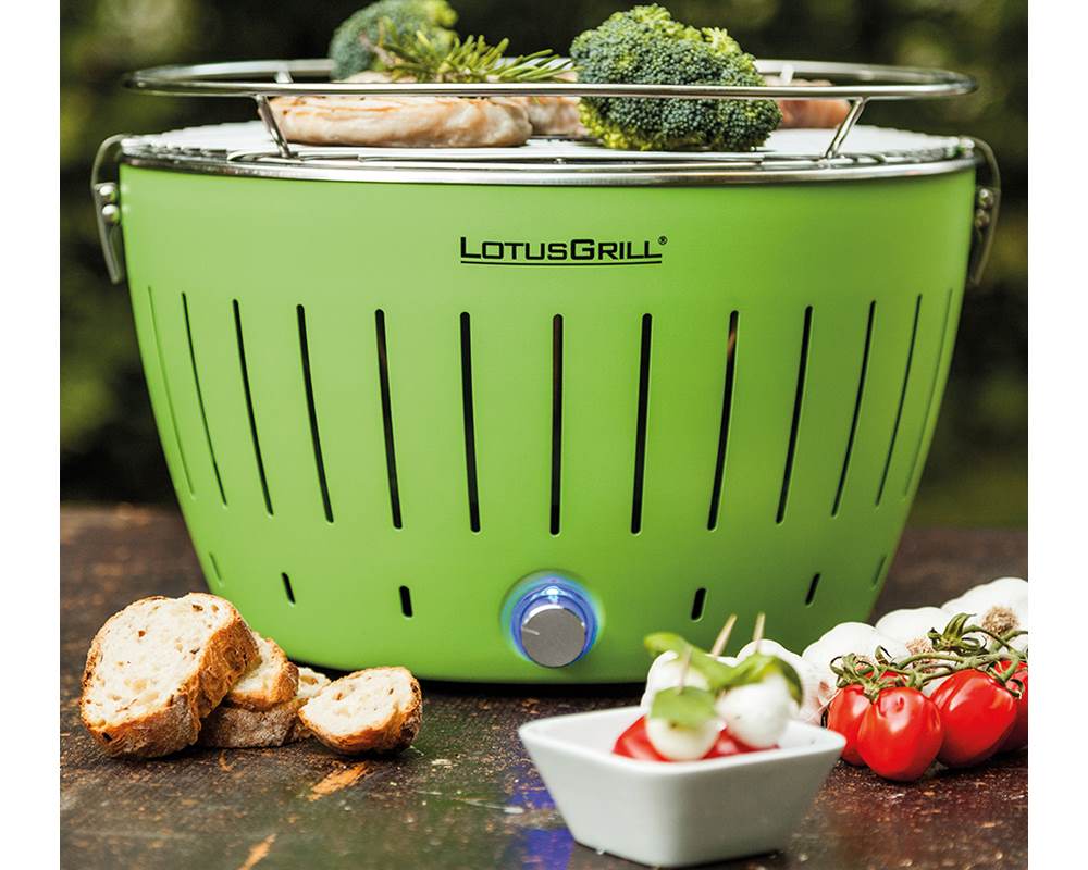 Grill portatile a carbonella standard a batteria verde - FloralGarden