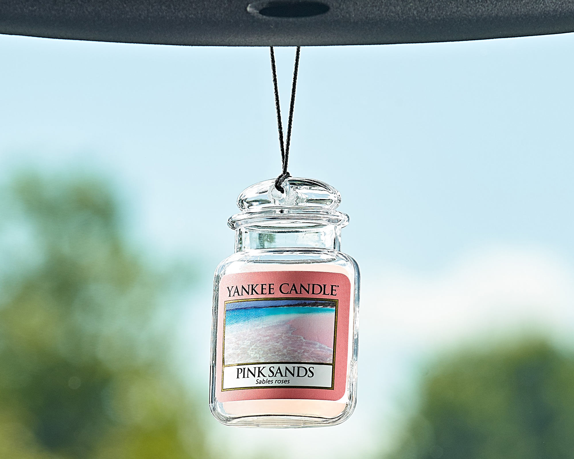 Yankee Candle Barattolo per Auto, Rosa, 20 unità : : Casa