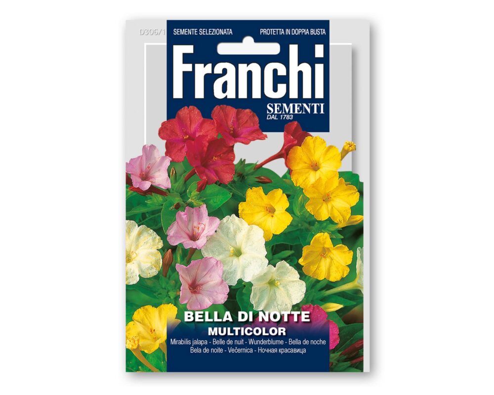 SEMI BELLA DI NOTTE FIORI DOPPIA BUSTA DBF 306 1