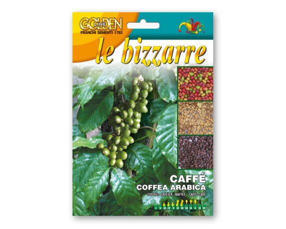 Semi Di Caffé Arabico – Franchi Sementi
