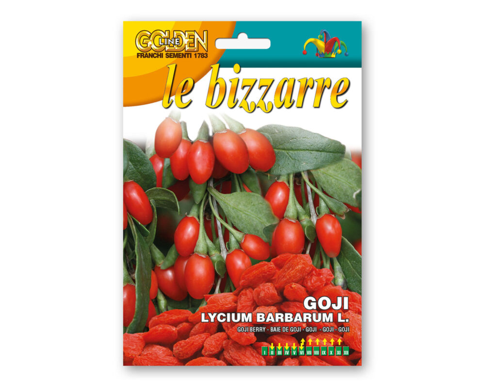 SEMI GOJI GOLDEN LINE BIZZARRE GLBZ69 1