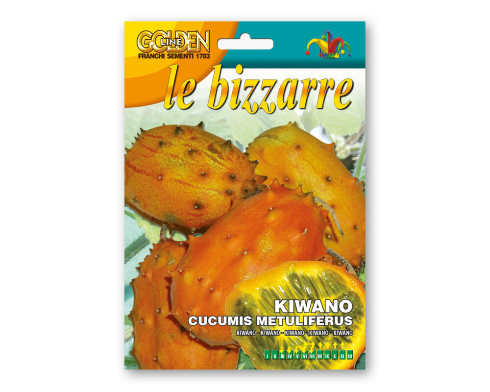 SEMI KIWANO GOLDEN LINE BIZZARRE GLBZ91 50