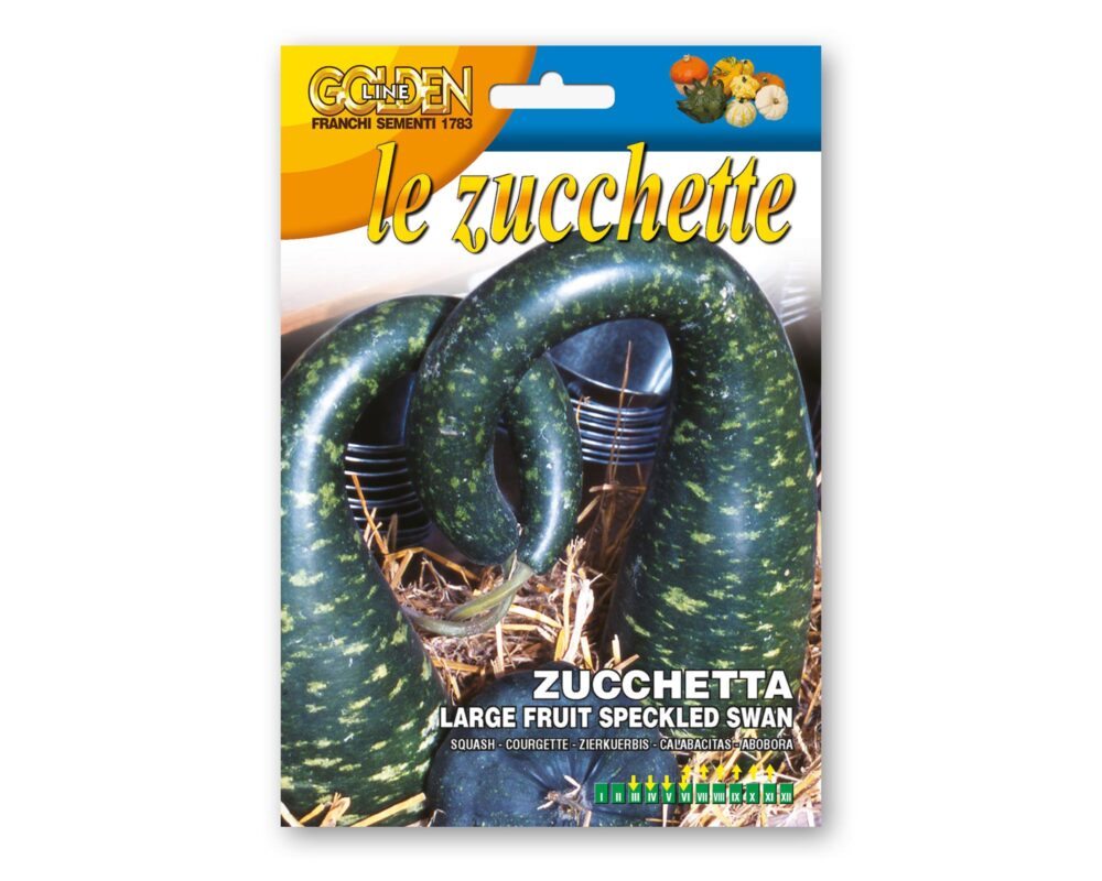 SEMI ZUCCHETTA LARGE FRUIT SPEKLED SWAN GOLDEN LINE GLZO360 6