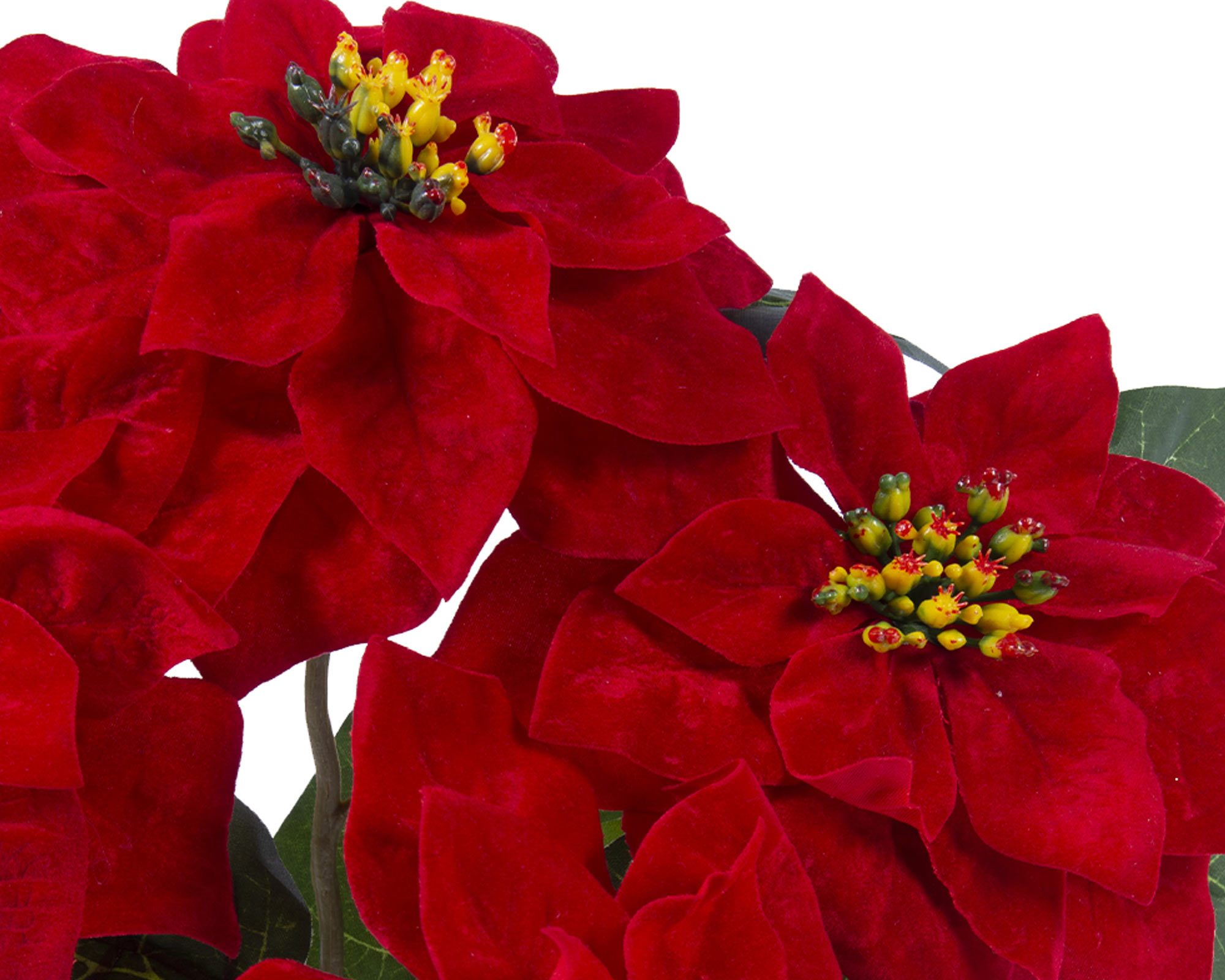 Porta caramelle Poinsettia in cristallo dorato di Studio Nova, 5 1/8 -   Italia