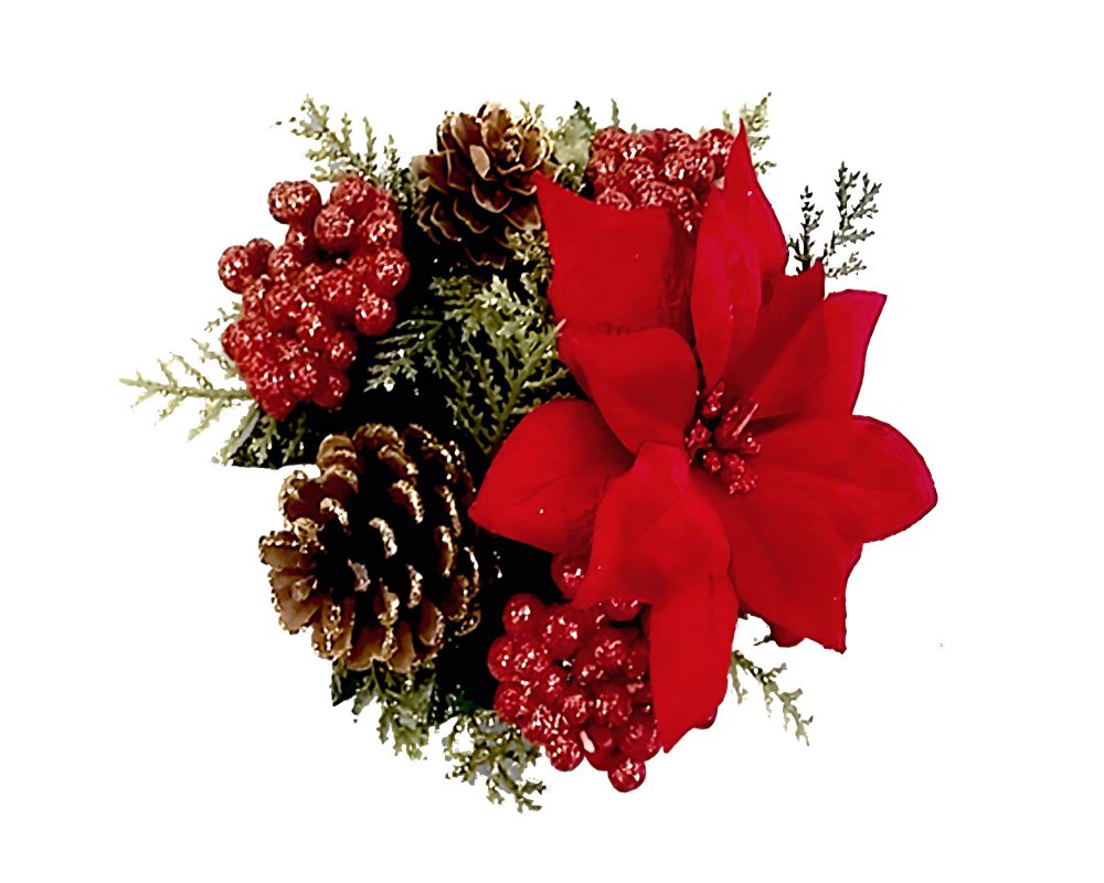 C R 30MM 14CM POINSETTIA BACCHE PINO 72515756