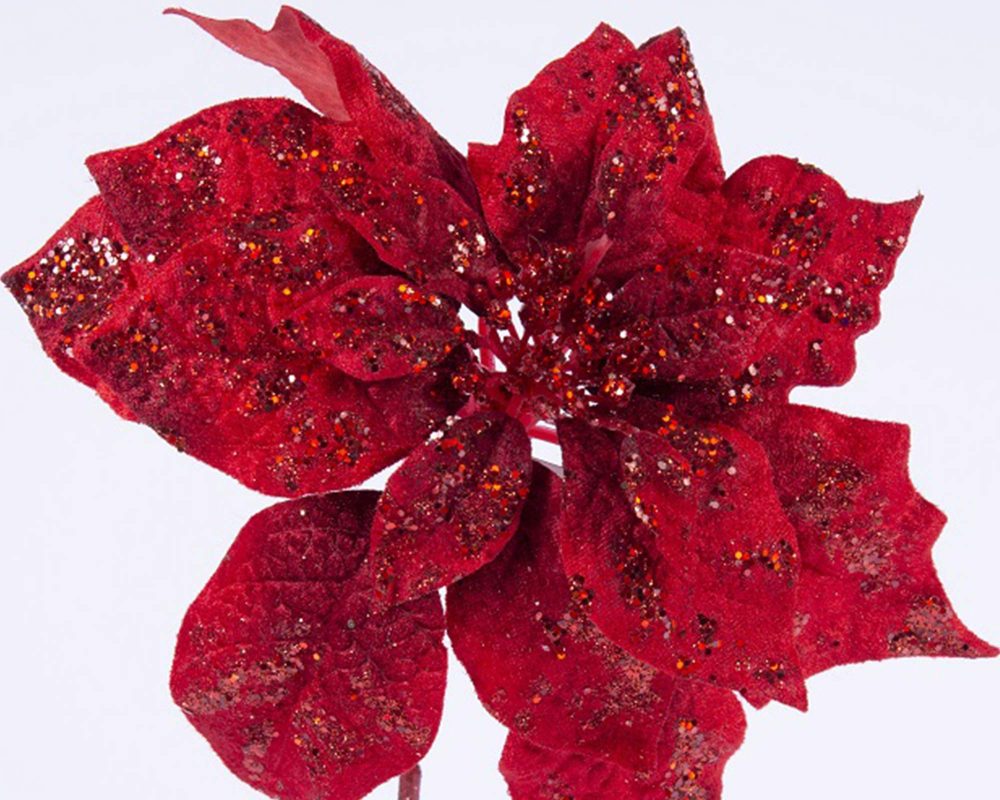 POINSETTIA 66CM S F VELLUTO ROSSO C GLIT 72527273 1 1