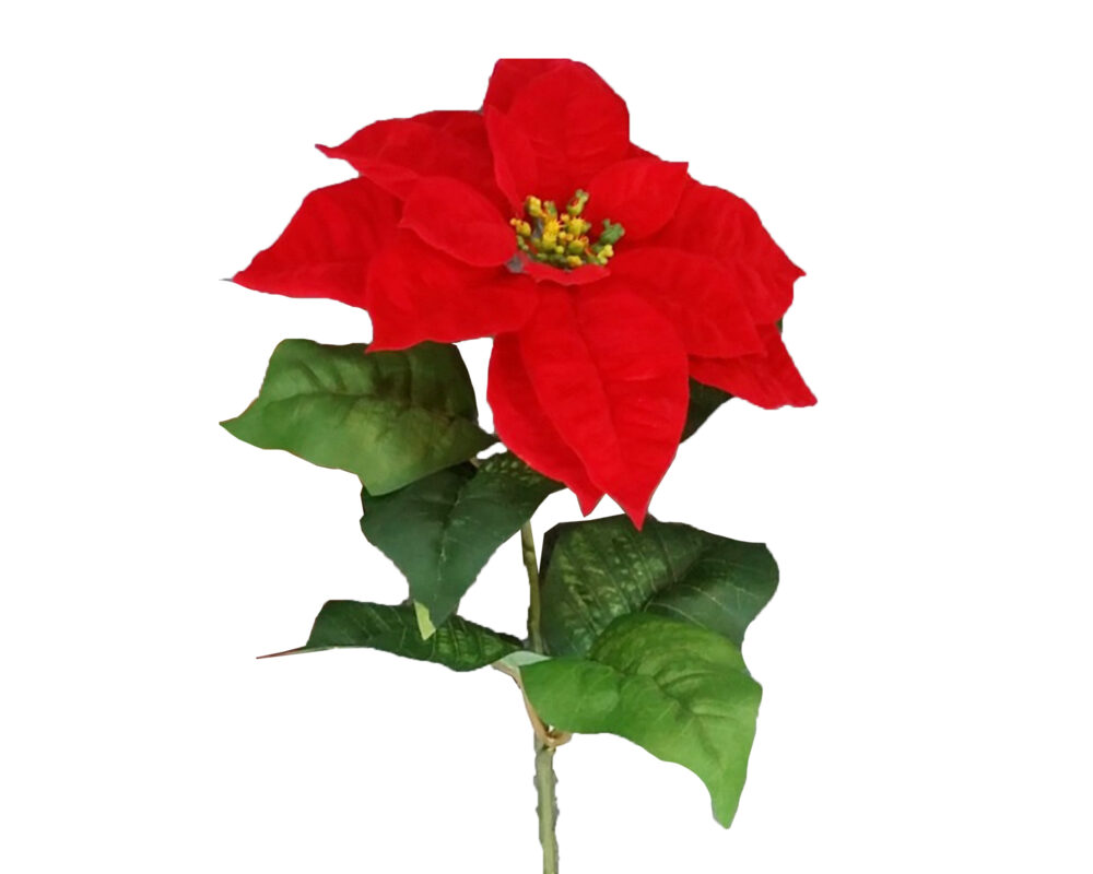 POINSETTIA 70CM VELLUTO ROSSO 72494099