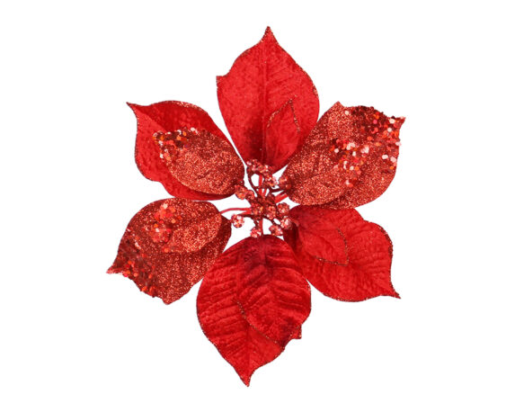 Poinsettia Stella Di Natale Con Clip