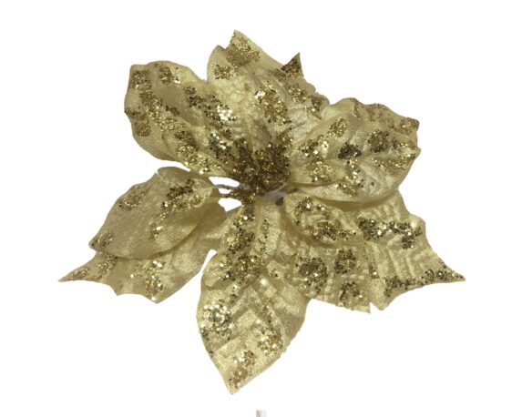 Poinsettia Stella Di Natale Champagne Con Clip