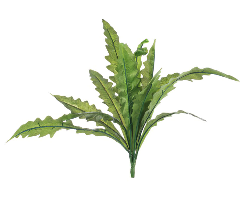 Rano Asplenium Stelo Artificiale