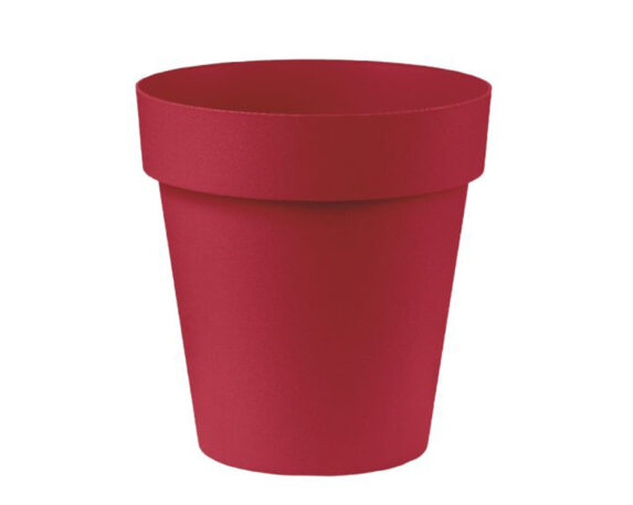 Vaso Cleo Rosso – Veca