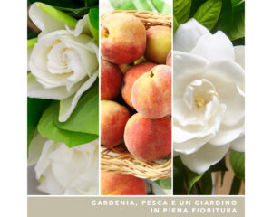 Giara Candela Grande White Gardenia - Yankee Candle - FloralGarden