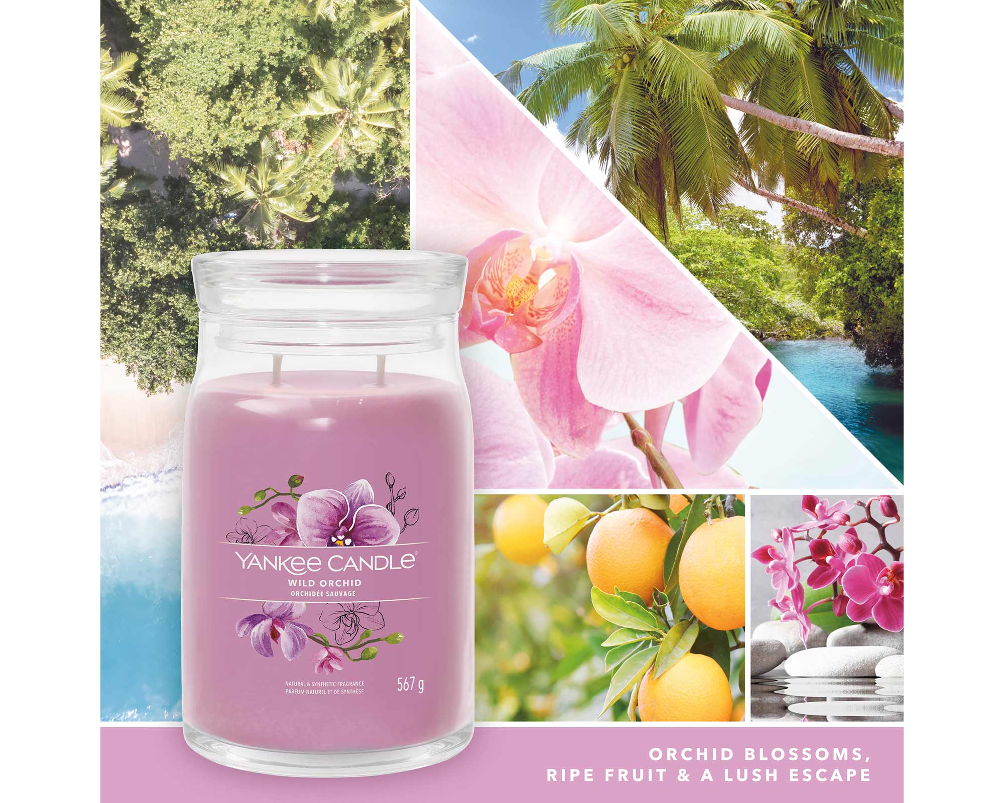 Candela Signature Media, Wild Orchid