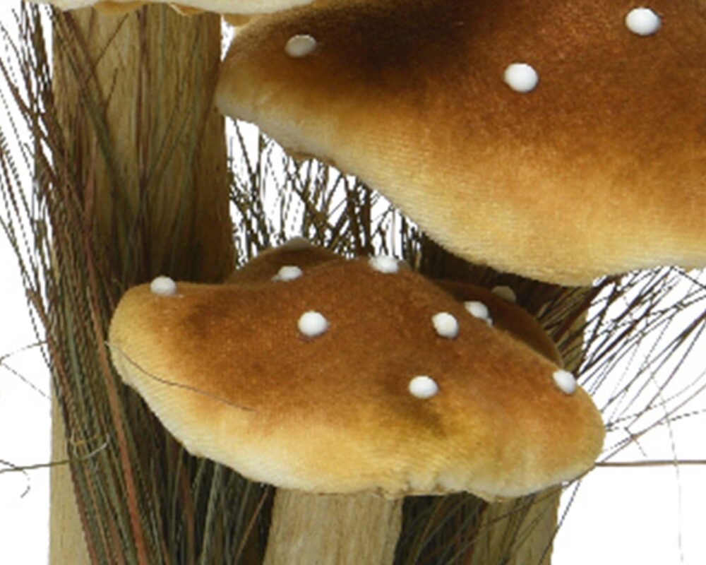 10060382 8719152229772 455539 DECORAZIONE 3 FUNGHI C ERBA IN VELLUTO ASS H26CM 0004 455539s3 copia