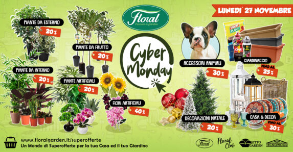 Cyber Monday: Sconti Imperdibili Fino Al 50% Solo Online