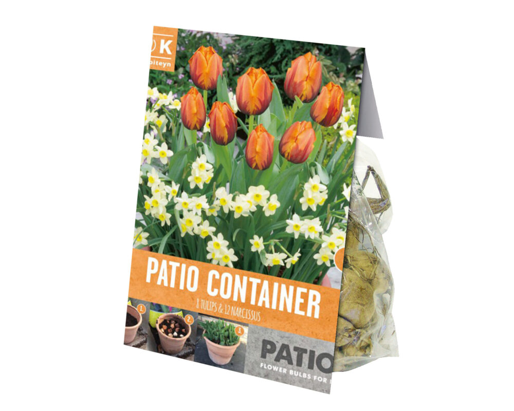 Combo Bulbo Tulipa Orange/Narcissus Cream X20 (Tulipano) - Kapiteyn