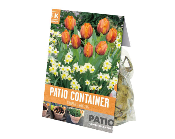 Combo Bulbo Tulipa Orange/Narcissus Cream X20 (Tulipano) – Kapiteyn