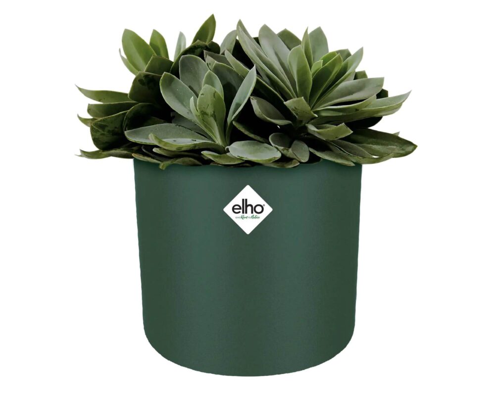 10060924 8711904312893 4121401636000 CACHEPOT TONDO B FOR SOFT VERDE FOGLIA 16CM 0016 b for soft round leaf green Echeve