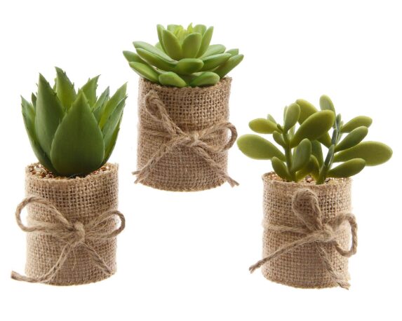 Succulenta Artificiale Con Sacco Assortito 5x5x12cm In Plastica E Juta – Kaemingk