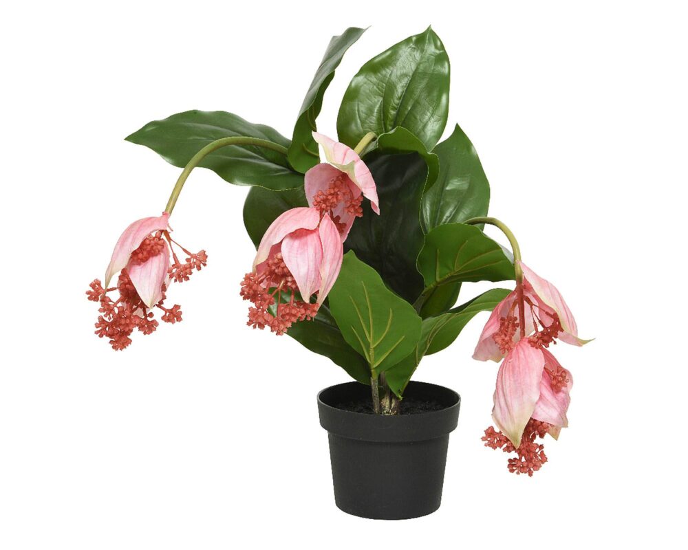 10061590 804210 MEDINILLA ARTIF IN VASO PLASTICA 49X50X42CM 0008 804210