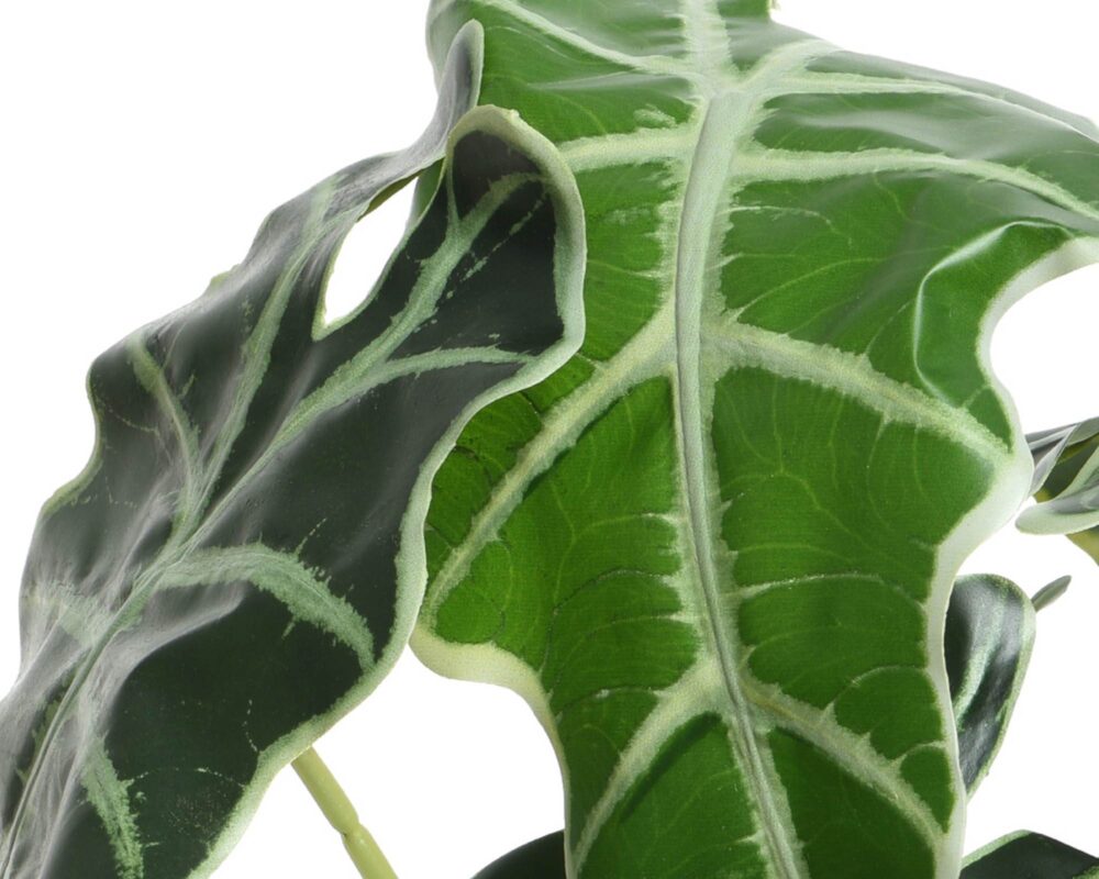 10061612 801000 ALOCASIA ARTIF IN VASO PLASTICA 27X27X50CM 0021 801000v