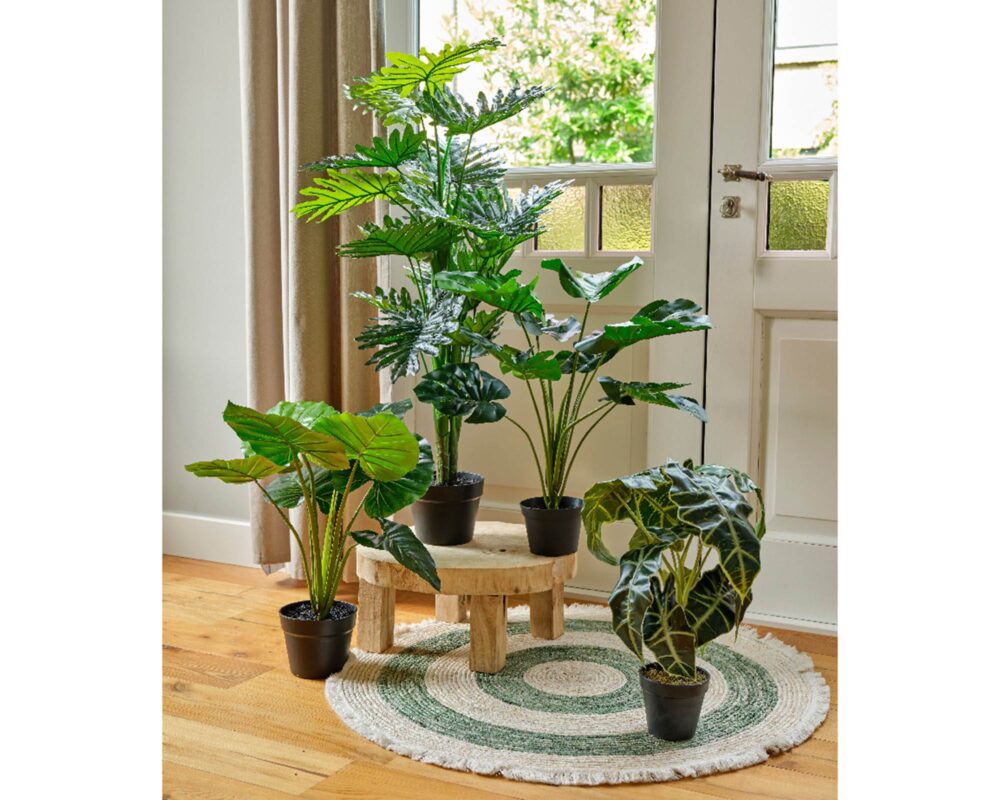 10061612 801000 ALOCASIA ARTIF IN VASO PLASTICA 27X27X50CM 0022 801000s