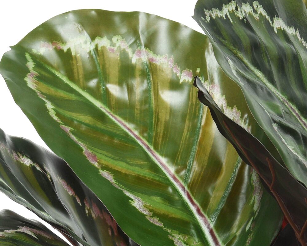 10061617 801116 CALATHEA ARTIF IN VASO PLASTICA 60X60X47CM 0004 801116v