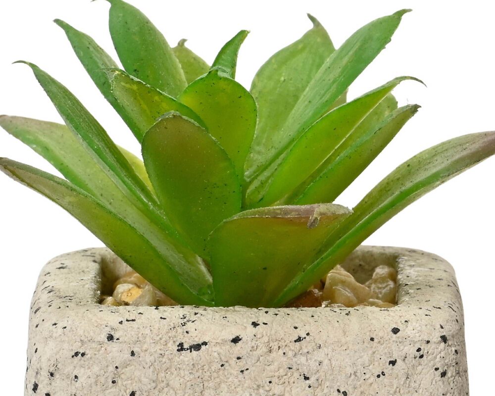 10061684 808560 SUCCULENTA ARTIF C VASO PE MOD ASS 5X8CM 0014 808560s1