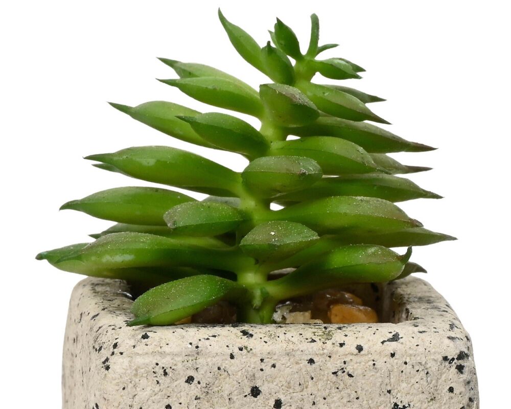 10061684 808560 SUCCULENTA ARTIF C VASO PE MOD ASS 5X8CM 0016 808560s3