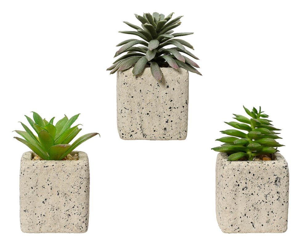 10061684 808560 SUCCULENTA ARTIF C VASO PE MOD ASS 5X8CM 0017 808560