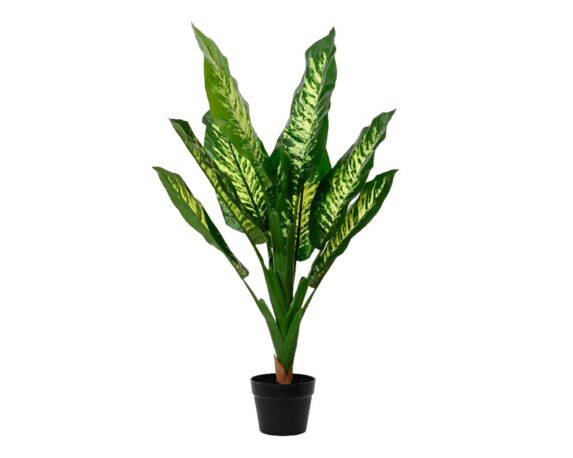 Dieffenbachia Artificiale Con Vaso D60x90cm In PE – Kaemingk