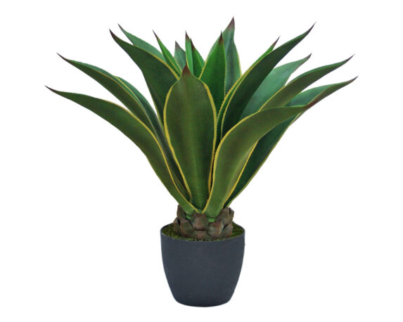 Agave Attenuata Con Vaso D23x98cm Pianta Artificiale In Plastica E Poliestere