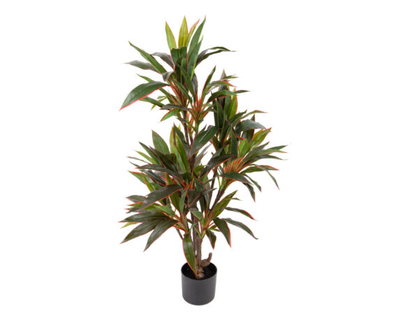 Dracena Real Touch Con Vaso D70x110cm Pianta Artificiale In Plastica E Poliestere